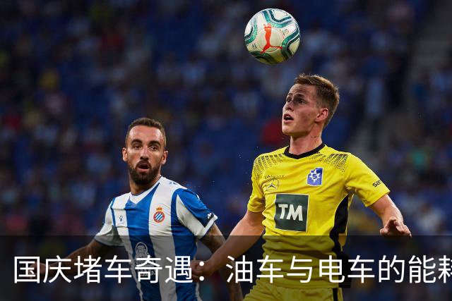 国庆堵车奇遇：油车与电车的能耗大比拼！