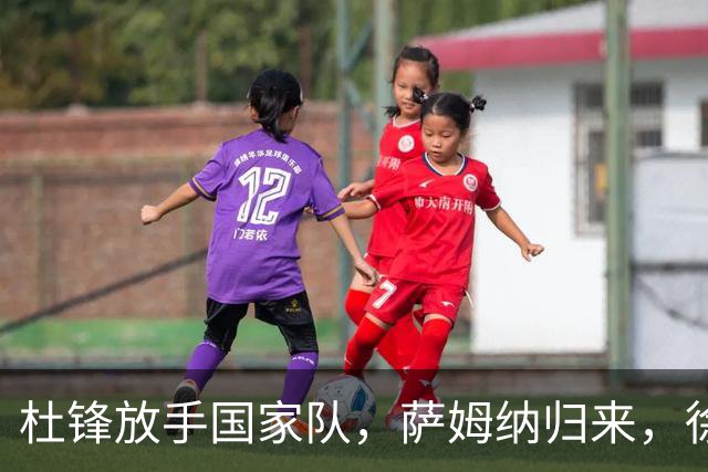 杜锋放手国家队，萨姆纳归来，徐杰或重返国家队！